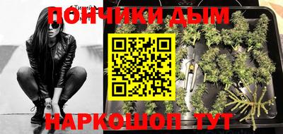 крисы Будённовск