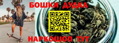 крисы Будённовск