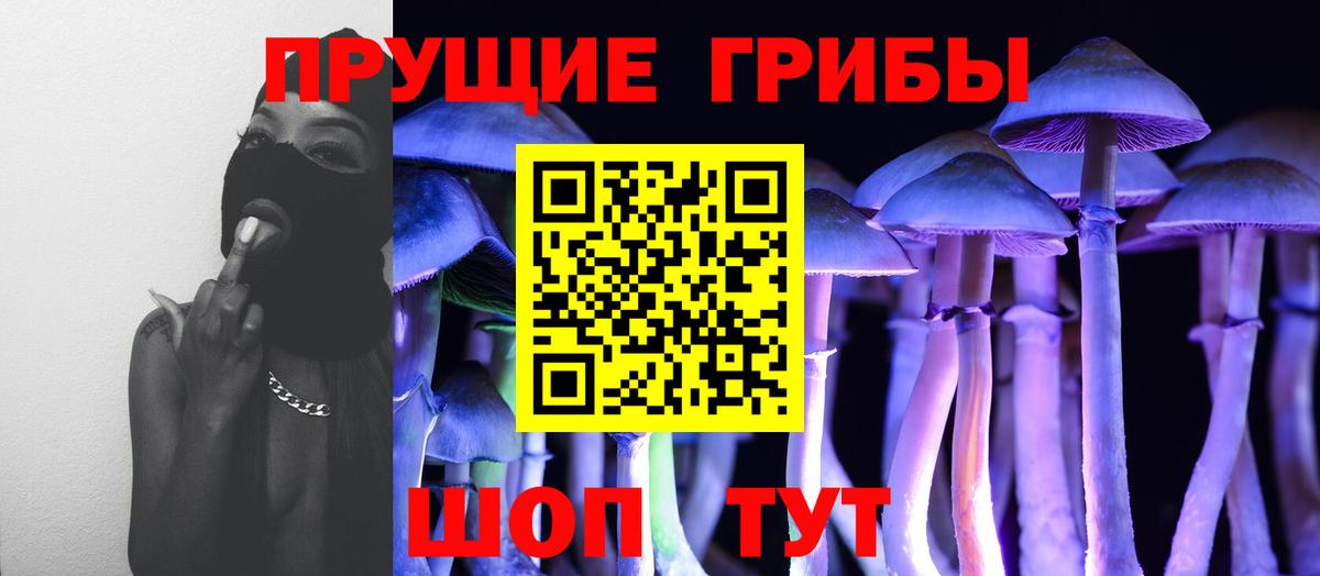Галлюциногенные грибы мицелий  Галлюциногенные грибы Cubensis  Вход с VPN  Невинномысск 